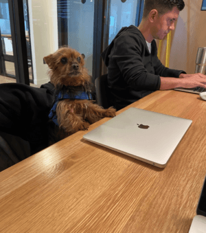 Atomic Health team
